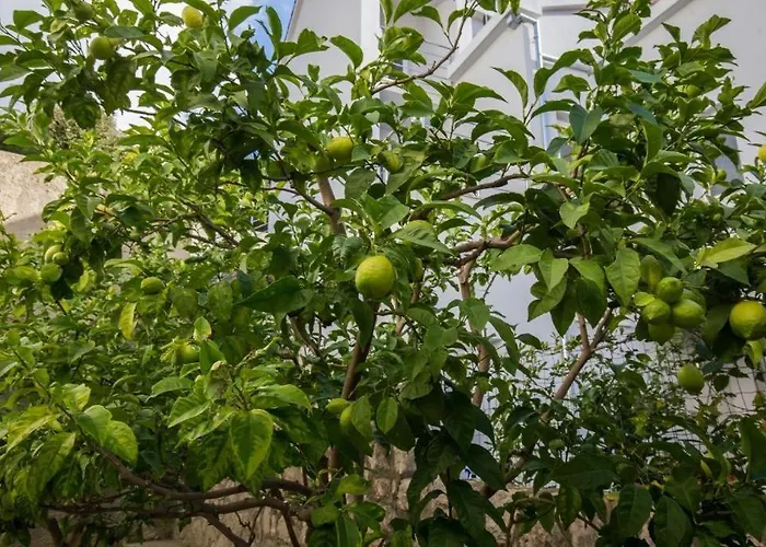 Enzian Апартаменты Млини